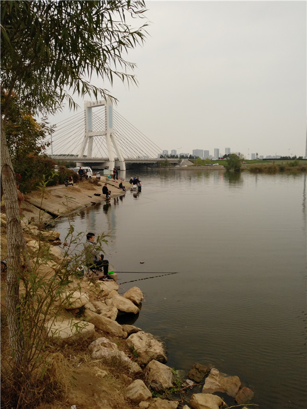 11.11临沂市区钓鱼心得-祊河 (23).jpg