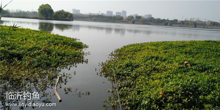 TIM图片20181113184627.jpg TIM图片20181113184627.jpg