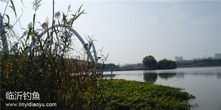 TIM图片20181113184615.jpg TIM图片20181113184615.jpg