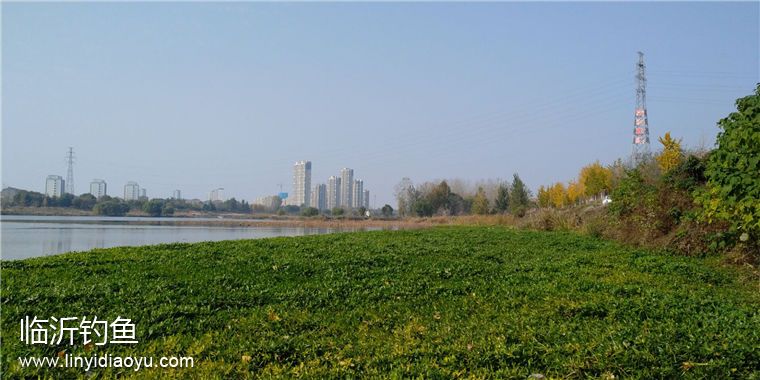 TIM图片20181113184618.jpg TIM图片20181113184618.jpg