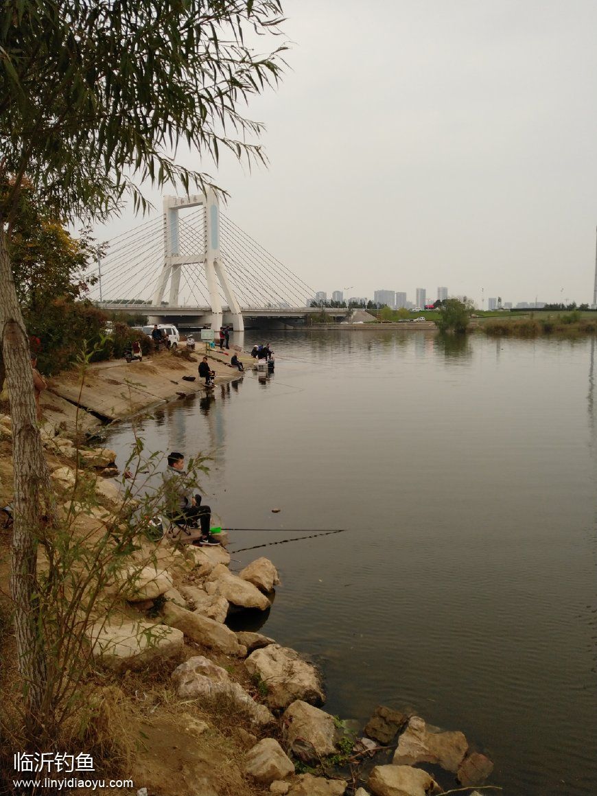 timg (4).jpg timg (4).jpg