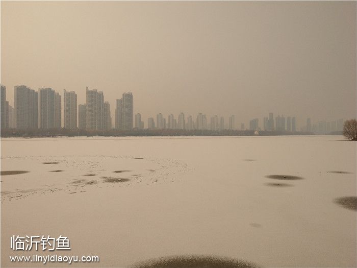 1月初临沂雪后冬钓图片 (2).jpg