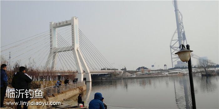 1月初临沂雪后冬钓图片 (8).jpg