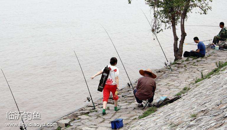 临沂钓鱼 春钓 临沂钓鱼 春钓