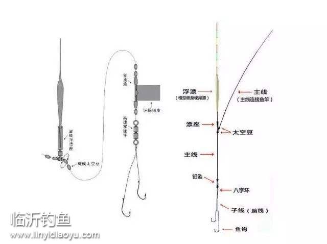 timg (6).jpg timg (6).jpg