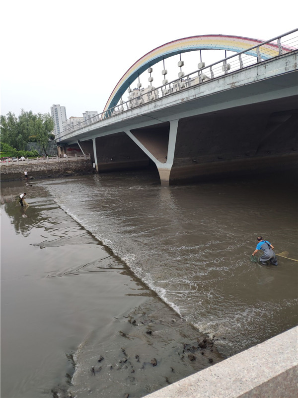 临沂南坊柳青河 (1).jpg
