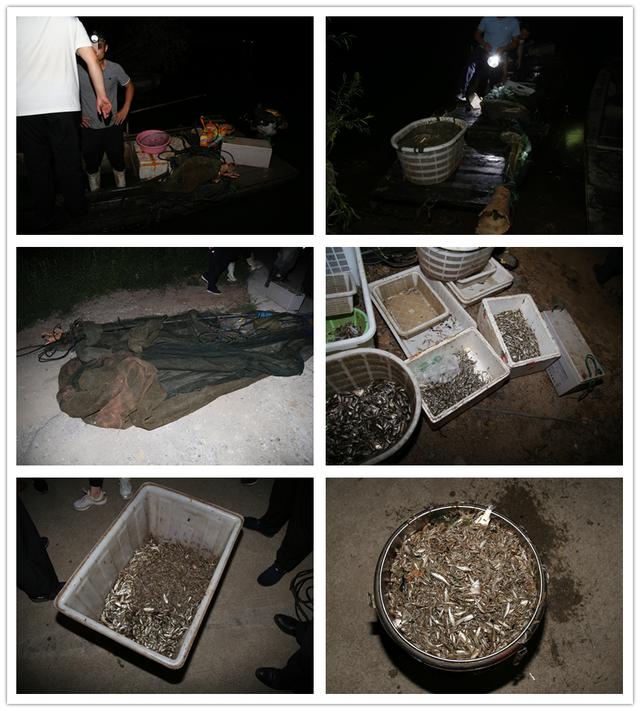 临沂抓获两名非法电鱼人员 (3).jpg