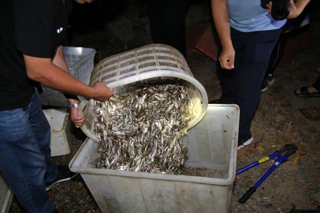 临沂抓获两名非法电鱼人员 (6).jpg