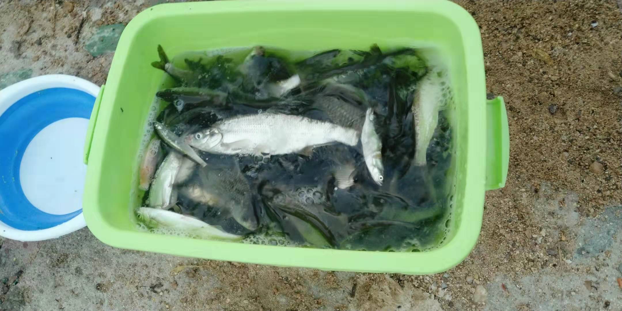 微信图片_20190810164250.jpg 微信图片_20190810164250.jpg