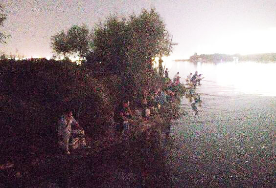 三河口夜钓 三河口夜钓