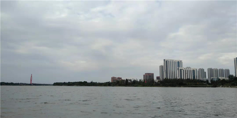 临沂大学野钓点-人民医院(北城)对面