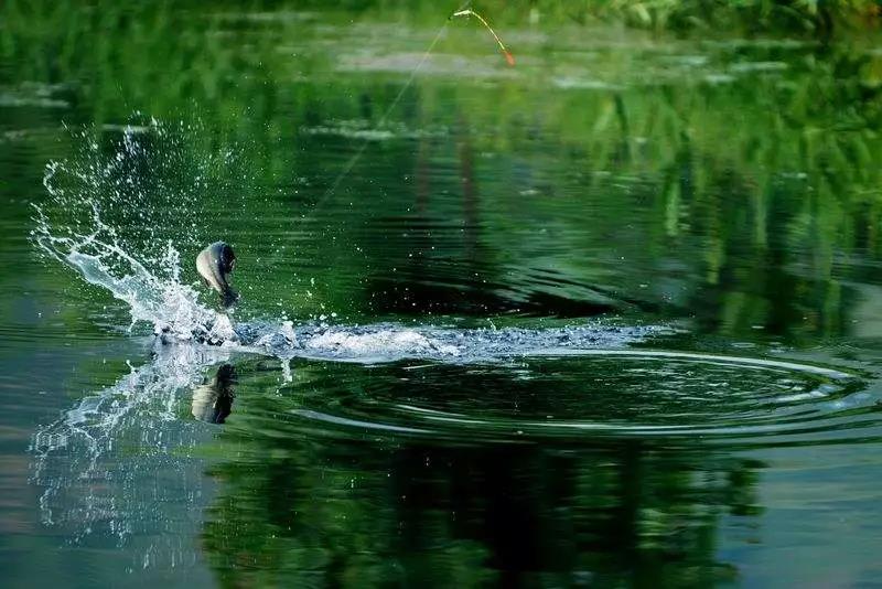 微信图片_20191109170722.jpg 微信图片_20191109170722.jpg