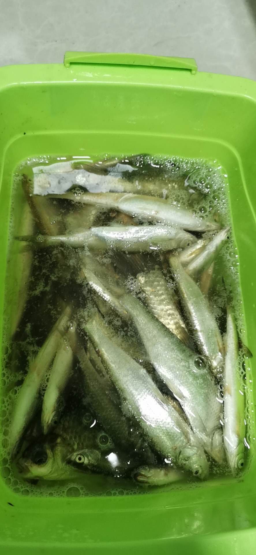 微信图片_20200914151930.jpg 微信图片_20200914151930.jpg