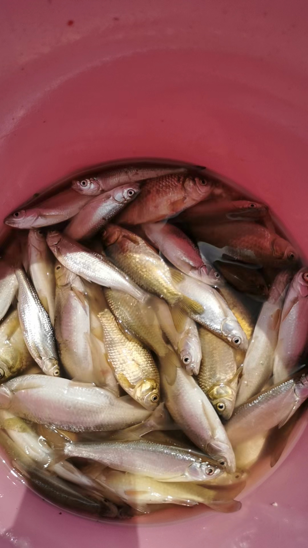 微信图片_20230526135934.jpg 微信图片_20230526135934.jpg